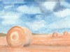 Feldlandschaft II − 2021